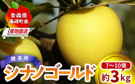 ＜産地直送＞ シナノゴールド 贈答用 約3kg （7〜10個）りんご リンゴ 林檎 果物 フルーツ  F41-0080