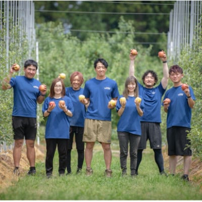 産地直送　葉とらずサンふじ　訳あり　約4kg【配送不可地域：離島・沖縄県】【1428763】