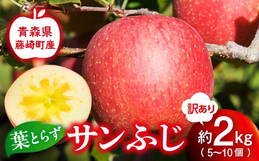 【先行予約】産地直送 葉とらず サンふじ 訳あり 約2kg（5〜10個） りんご リンゴ 林檎  F41-0021