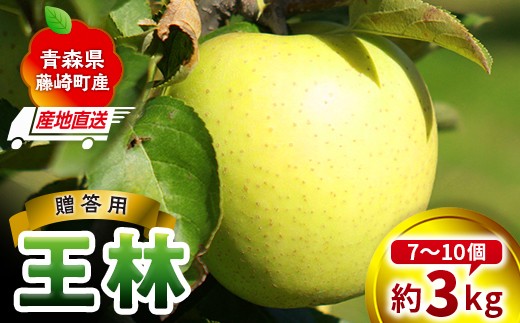 ＜産地直送＞ 王林 贈答用 約3kg（7〜10個）りんご リンゴ 林檎 果物 フルーツ  F41-0076