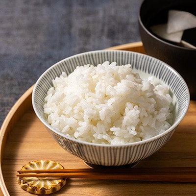 縲先ッ取怦螳壽悄萓ソ縲鷹搨譽ョ逵檎肇 縺セ縺」縺励$繧 逋ス邀ウ 10kg縲宣搨譽ョ邀ウ縲大ィ6蝗槭宣埼∽ク榊庄蝨ー蝓滂シ夐屬蟲カ繝サ豐也ク逵後代4076023縲