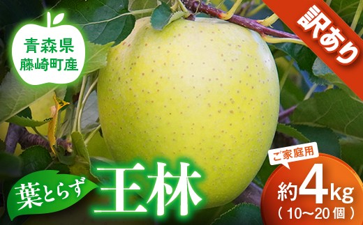 【先行予約】王林 訳あり 約4kg（10〜20個）りんご リンゴ 林檎 王林 訳あり 家庭用 青森県産 果物 フルーツ  F41-0026