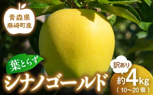 【先行予約】シナノゴールド 訳あり 約4kg（10〜20個）りんご リンゴ 林檎 果物 フルーツ  F41-0029