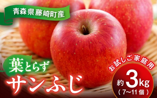 【先行予約】葉とらず サンふじ 約3kg（7〜11個）お試し家庭用 青森りんご リンゴ 林檎 アップル 果物 くだもの フルーツ  F41-0099