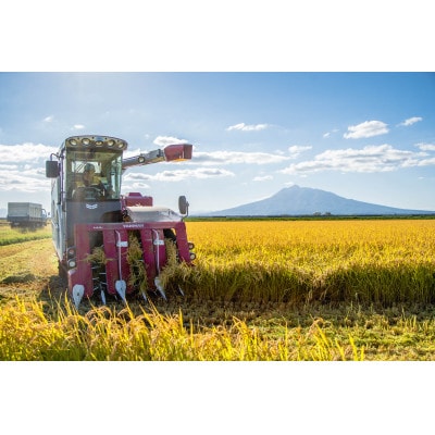 鿣®çç£ ãããªãã蟲åãç¹æ œã¯ãããããçœç±³10kgãé
éäžå¯å°åïŒé¢å³¶ã»æ²çžçãã1565538ã