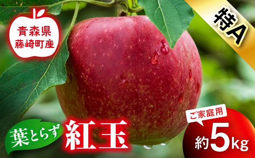 【先行予約】葉とらず 紅玉 特A 家庭用 約5kg 【グランドアップル】 青森りんご リンゴ 林檎 アップル 果物 くだもの フルーツ  F41-0031