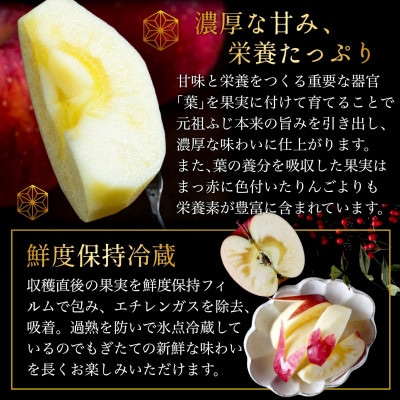 [年明け発送] 葉とらずサンふじ 厳選 小玉 約3kg ご家庭用りんご(訳あり) 青森リンゴ 林檎【配送不可地域：離島・沖縄県】【1558471】