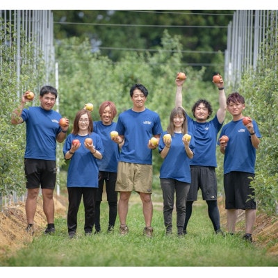 シナノゴールド　訳あり　約4kg(10〜20個)【配送不可地域：離島・沖縄県】【1552668】