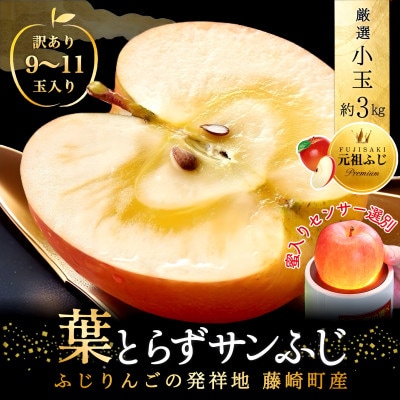 [年明け発送] 葉とらずサンふじ 厳選 小玉 約3kg ご家庭用りんご(訳あり) 青森リンゴ 林檎【配送不可地域：離島・沖縄県】【1558471】