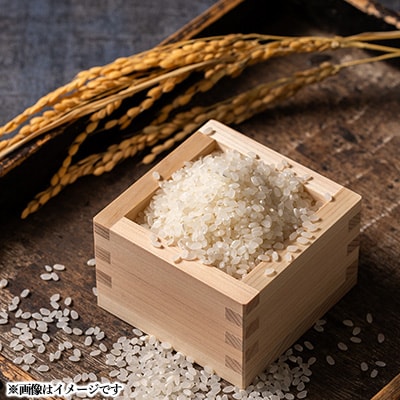 青森県産　まっしぐら　白米10kg【配送不可地域：離島・沖縄県】【1252094】