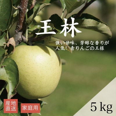【産地直送】「王林」りんご　家庭用　5kg(12〜20個)【配送不可地域：離島・沖縄県】【1667204】