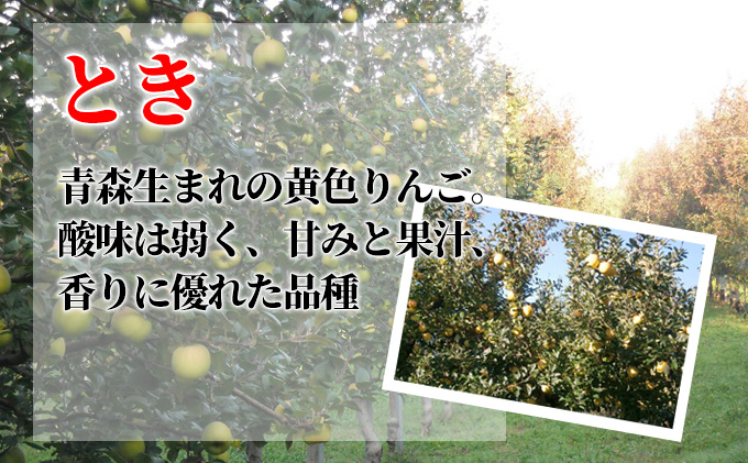 10月発送 贈答用 葉取らずとき 約5kg【特選】【鶴翔りんごGAP部会 青森県産 津軽産 リンゴ 林檎】