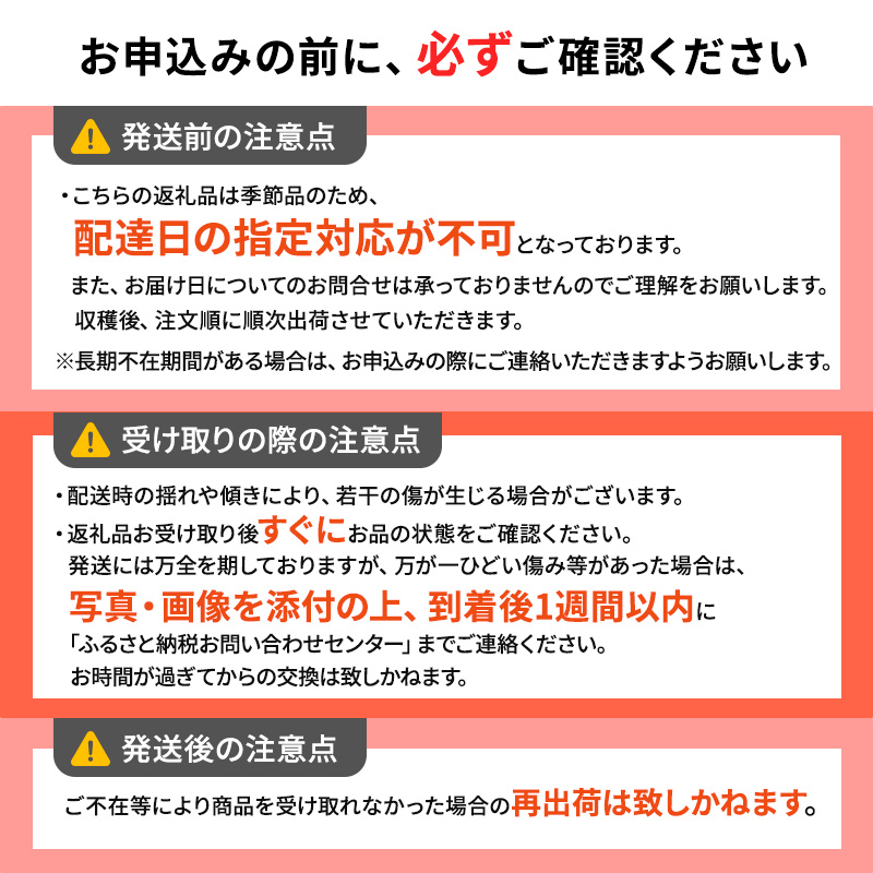 2月発送【 糖度保証 】贈答用 葉取らず サンふじ 約 5kg 【 特選 】鶴翔りんごGAP部会 青森県産 津軽産 リンゴ 林檎 果物 JGAP認証 安心 丸かじり 甘い 高糖度 ギフト 