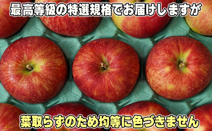 11～12月発送【糖度保証】贈答用 葉取らず サンふじ 約5kg 【特選】【鶴翔りんごGAP部会 青森県産 津軽産 リンゴ 林檎】