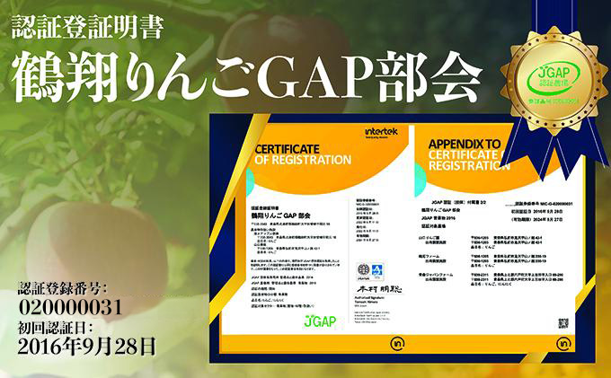 2月発送【 糖度保証 】贈答用 葉取らず サンふじ 約 5kg 【 特選 】鶴翔りんごGAP部会 青森県産 津軽産 リンゴ 林檎 果物 JGAP認証 安心 丸かじり 甘い 高糖度 ギフト 