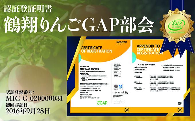 9月発送 家庭用 葉取らず サンつがる 約5kg【訳あり】【鶴翔りんごGAP部会 青森県産 津軽産 リンゴ 林檎】