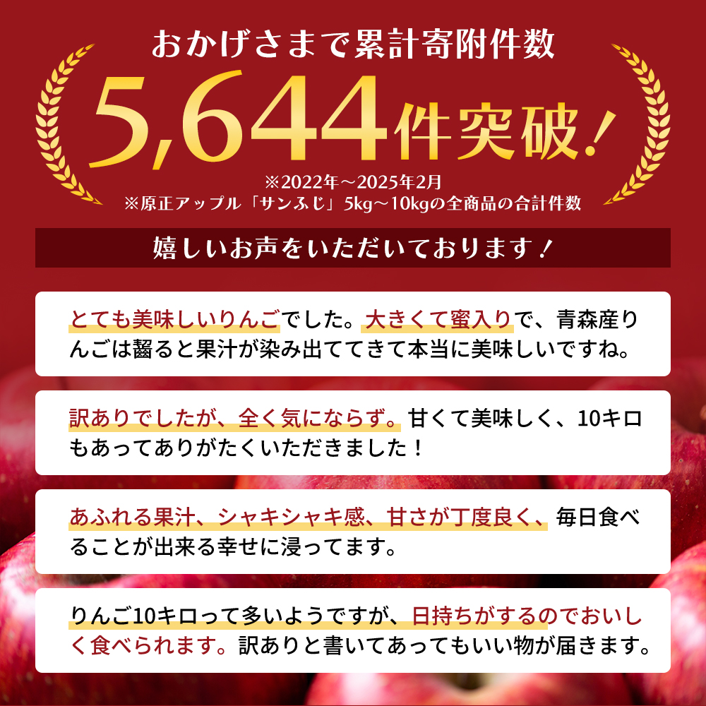 11～12月発送 家庭用 サンふじ 約10kg【訳あり】原正りんご 青森県産 津軽産 リンゴ 林檎 果物 フルーツ デザート 食後 甘味 酸味 食感 果汁たっぷり 青森りんご 国産 
