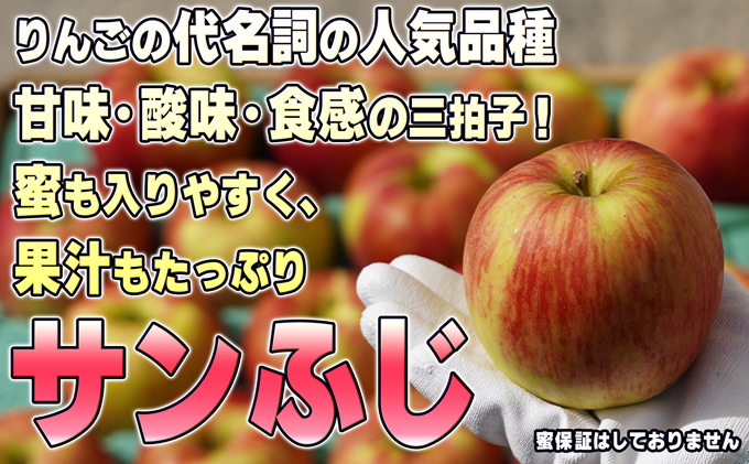 1月発送【糖度保証】家庭用 葉取らず サンふじ 約5kg【訳あり】【鶴翔りんごGAP部会 青森県産 津軽産 リンゴ 林檎】