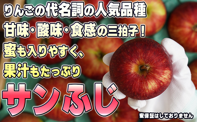 1月発送【 糖度保証 】家庭用 葉取らず サンふじ 約 5kg【 訳あり 】鶴翔りんごGAP部会 青森県産 津軽産 リンゴ 林檎 果物 フルーツ デザート 甘味