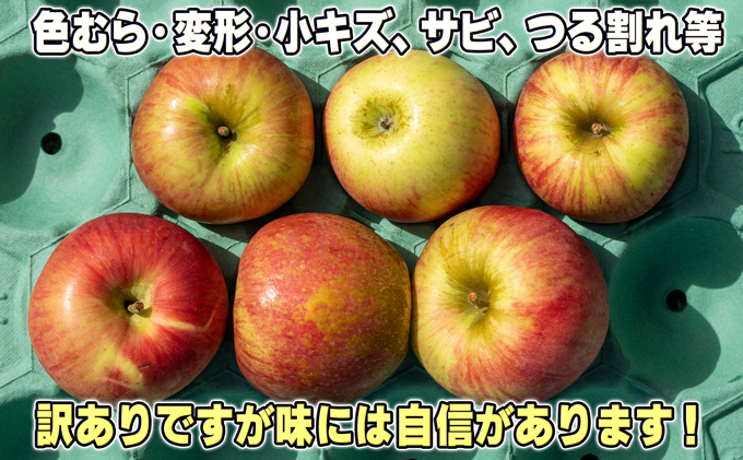 1月発送【糖度保証】家庭用 葉取らず サンふじ 約5kg【訳あり】【鶴翔りんごGAP部会 青森県産 津軽産 リンゴ 林檎】