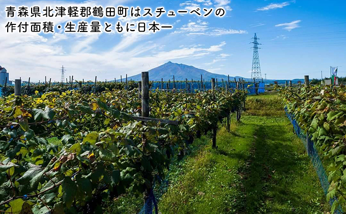 芽実農園のぶどうジュース（スチューベン100％）720ml×2本 青森県鶴田