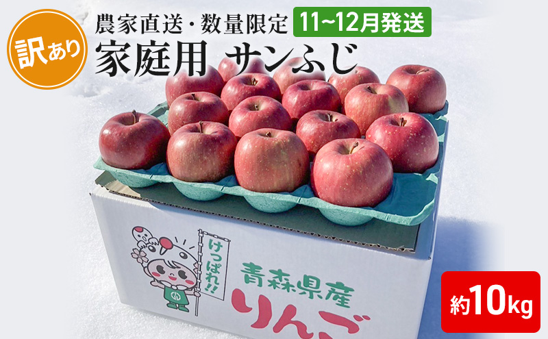 【農家直送・数量限定】 11～12月発送 家庭用 サンふじ 約10kg 【訳あり】 