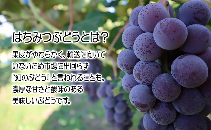 芽実農園のぶどうジュース(はちみつぶどう100％) 720ml×6本 青森県鶴田町産はちみつぶどう使用