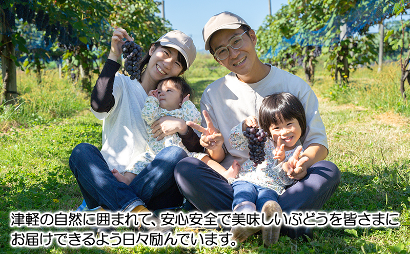 芽実農園のぶどうジュース(はちみつぶどう100％) 720ml×2本 青森県鶴田町産はちみつぶどう使用