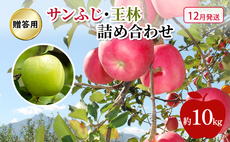 りんご 【 12月発送 】 糖度13度～贈答用 サンふじ ・ 王林 詰め合わせ 約 10kg
