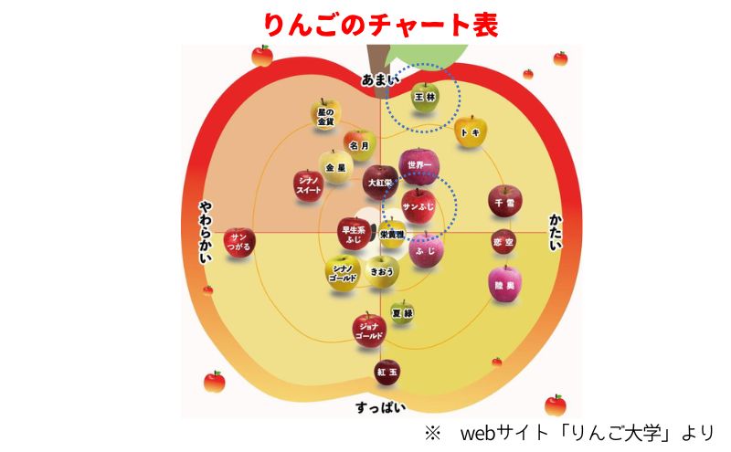 りんご 【 2月発送 】 家庭用 サンふじ ・ 王林 詰め合わせ 約 10kg