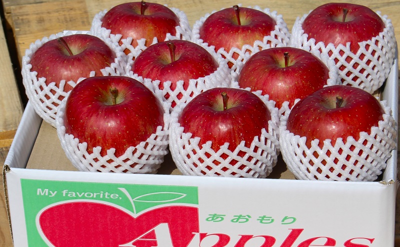 りんご 【 1月発送 】 糖度13度～贈答用 サンふじ 約 3kg