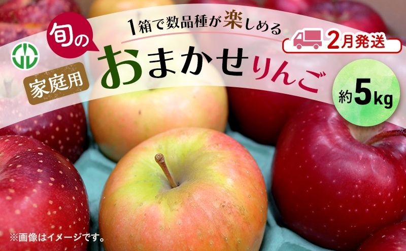 りんご 【 2月発送 】 家庭用 旬のりんご  品種おまかせ 約 5kg 2品種～4品種