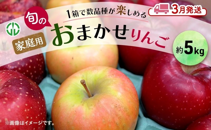 りんご 【 3月発送 】 家庭用 旬のりんご 品種おまかせ 約 5kg 2品種～4品種