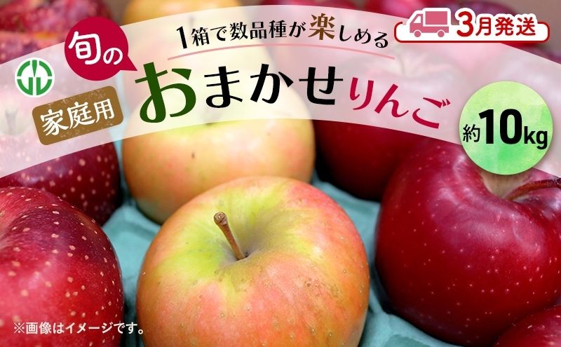 りんご 【 3月発送 】 家庭用 旬のりんご 品種おまかせ 約 10kg 2種類～4種類