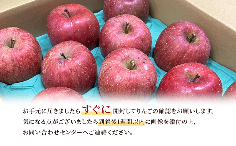 りんご 【3月クール便配送】 CA貯蔵 訳あり サンふじ 約 5kg リンゴ 果物 訳アリ 青森県 鶴田町