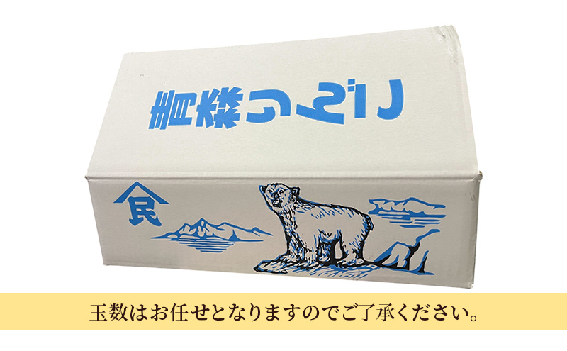 りんご 【5月クール便配送】 CA貯蔵 訳あり サンふじ 約 5kg リンゴ 果物 訳アリ 青森県 鶴田町