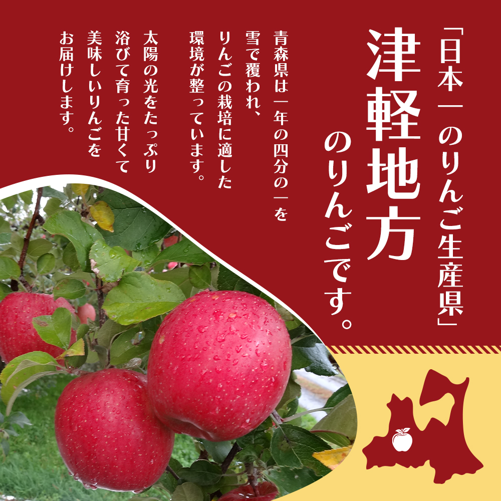 11～12月発送 家庭用 サンふじ 約10kg【訳あり】原正りんご 青森県産 津軽産 リンゴ 林檎 果物 フルーツ デザート 食後 甘味 酸味 食感 果汁たっぷり 青森りんご 国産 