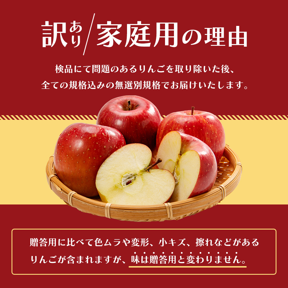 11～12月発送 家庭用 サンふじ 約10kg【訳あり】原正りんご 青森県産 津軽産 リンゴ 林檎 果物 フルーツ デザート 食後 甘味 酸味 食感 果汁たっぷり 青森りんご 国産 
