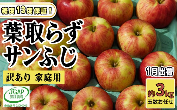 1月発送【 糖度保証 】家庭用 葉取らず サンふじ 約 3kg【 訳あり 】鶴翔りんごGAP部会 青森県産 津軽産 リンゴ 林檎 果物 フルーツ デザート 甘味