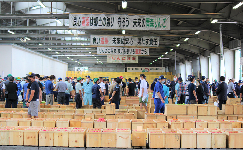 りんご 【 10月発送 】 家庭用 旬のりんご 品種おまかせ 約 5kg 2品種～4品種 果物類 フルーツ 林檎 リンゴ 鶴田町 青森県 おやつ デザート