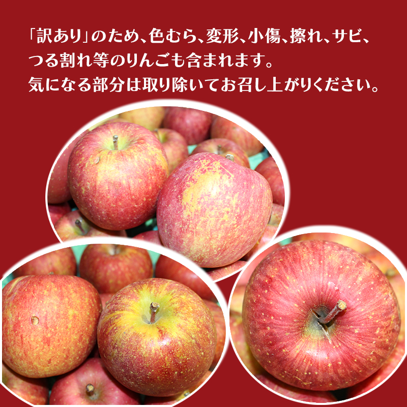 【平均糖度12度以上】11月～12月発送 家庭用 訳あり サンふじ 約 5kg りんご リンゴ 林檎 果物 フルーツ わけあり 青森