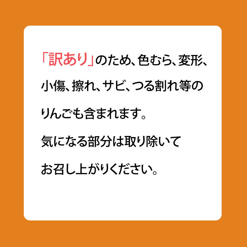 4æïœ5æ ã¯ãŒã«äŸ¿çºé å®¶åºçš èš³ãã CAè²¯èµ ã·ãããŽãŒã«ã çŽ 5kg ããã ãªã³ãŽ ææª æç© ãã«ãŒã ãããã 鿣®
