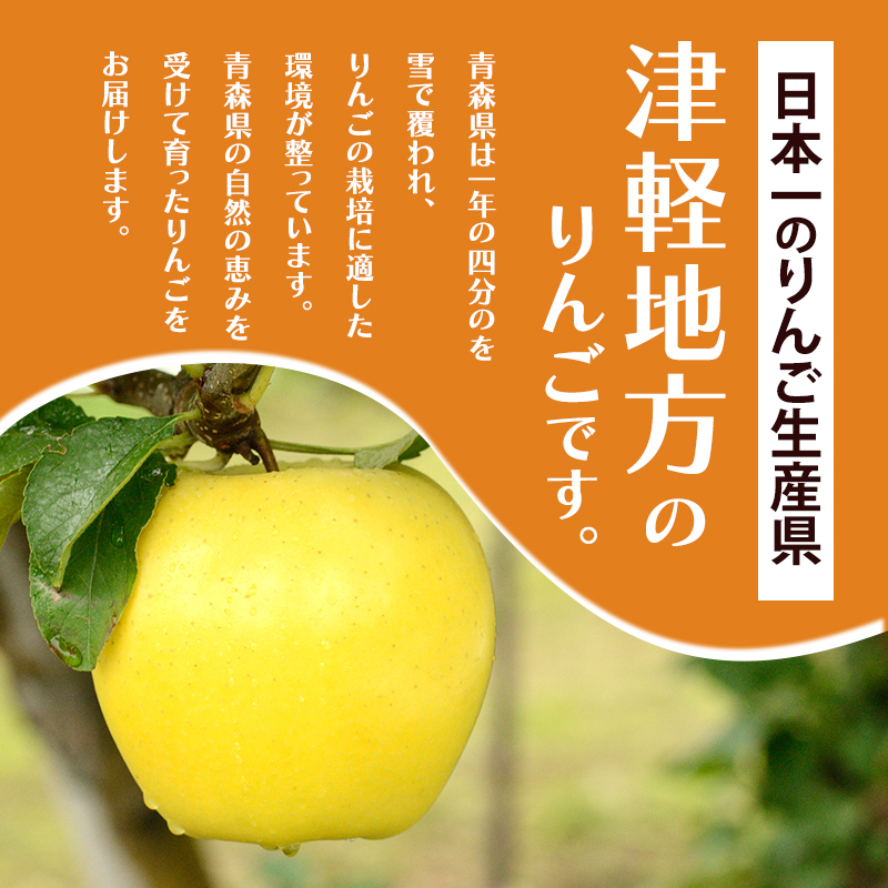 【平均糖度12度以上】4月～5月 クール便発送 家庭用 訳あり CA貯蔵 シナノゴールド 約 3kg りんご リンゴ 林檎 果物 フルーツ わけあり 青森