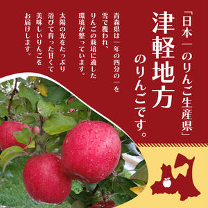 【平均糖度12度以上】11月～12月発送 家庭用 訳あり サンふじ 約 5kg りんご リンゴ 林檎 果物 フルーツ わけあり 青森