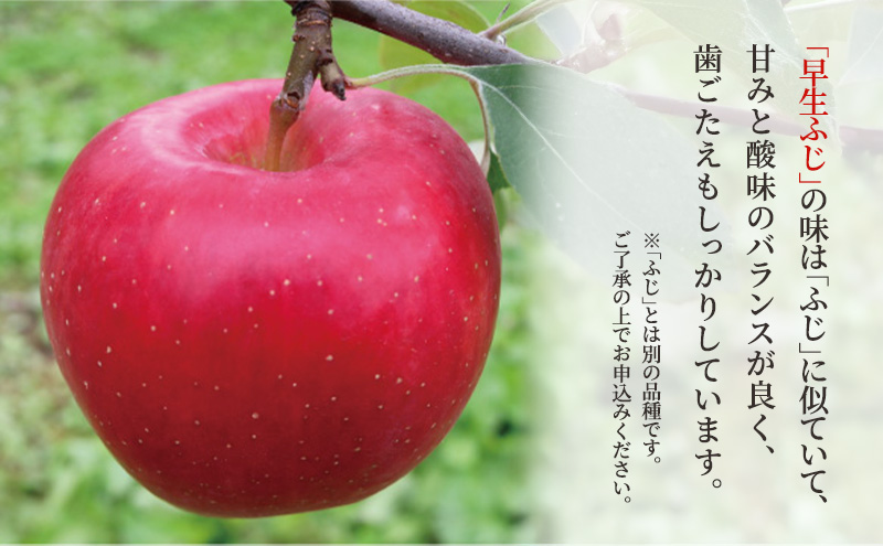 ã 9æã»10æçºé ã å®¶åºçš æ©çãµã çŽ 3kg ã 鿣®çé¶Žç°çºç£ ããã 鿣®ããã ãæç©é¡ ãã«ãŒã ææª ãªã³ãŽ é¶Žç°çº 鿣®ç ãã〠ãã¶ãŒã