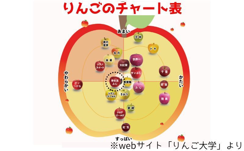 【 9月・10月発送 】 家庭用 早生ふじ 約 5kg 【 青森県鶴田町産 りんご 青森りんご 】果物類 フルーツ 林檎 リンゴ 鶴田町 青森県 おやつ デザート