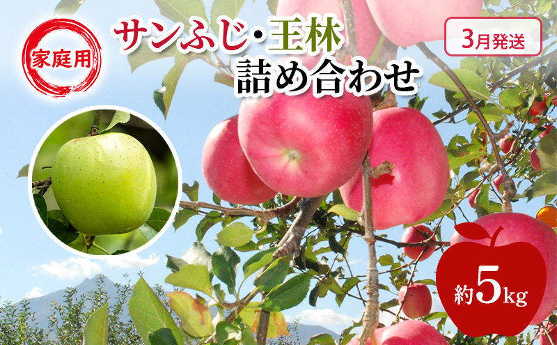 りんご 【 3月発送 】 糖度13度～家庭用 サンふじ ・ 王林 詰め合わせ 約 5kg