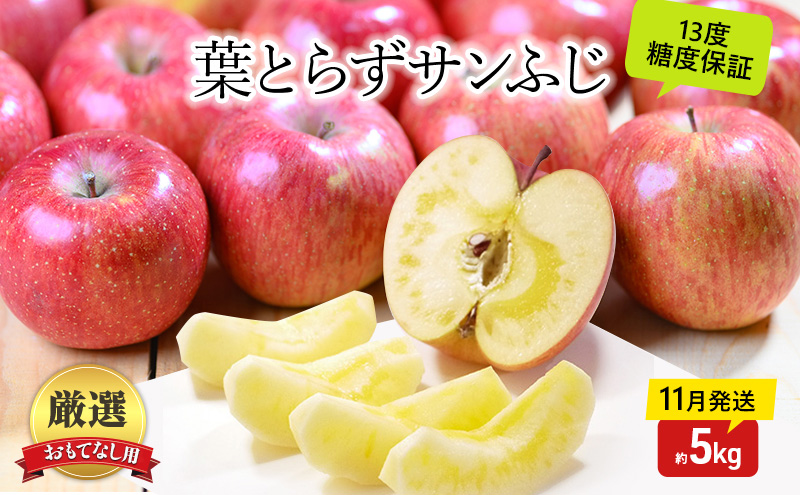 りんご【11月発送】蜜入り 糖度13度以上 おもてなし品  葉とらず サンふじ 約5kg【青森りんご 果物 フルーツ 産地直送 糖度測定 褐変 チェック 贈り物 年末 挨拶 お土産】