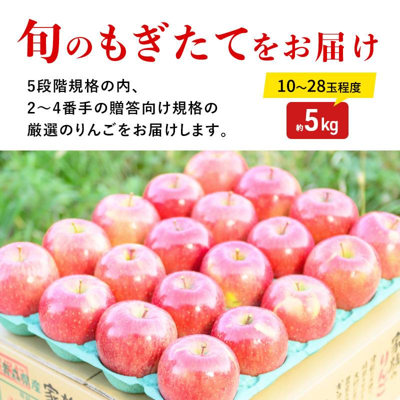 りんご【11月発送】蜜入り 糖度13度以上 おもてなし品  葉とらず サンふじ 約5kg【青森りんご 果物 フルーツ 産地直送 糖度測定 褐変 チェック 贈り物 年末 挨拶 お土産】