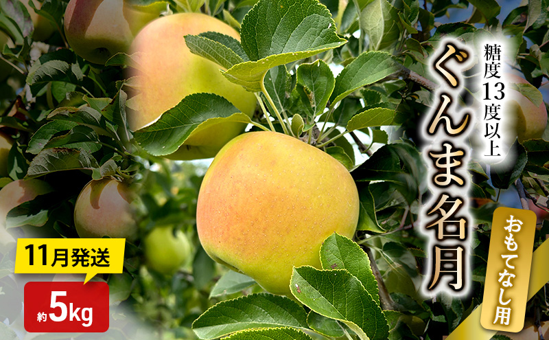 りんご【11月発送】糖度13度以上 ぐんま名月 おもてなし品  約5kg【青森りんご】